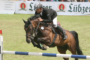 Das erfolgreichste Pferd von Heiko Schmidt war 2010 die zehnjährige Convoi-Stute Coverlady. Foto: Wego